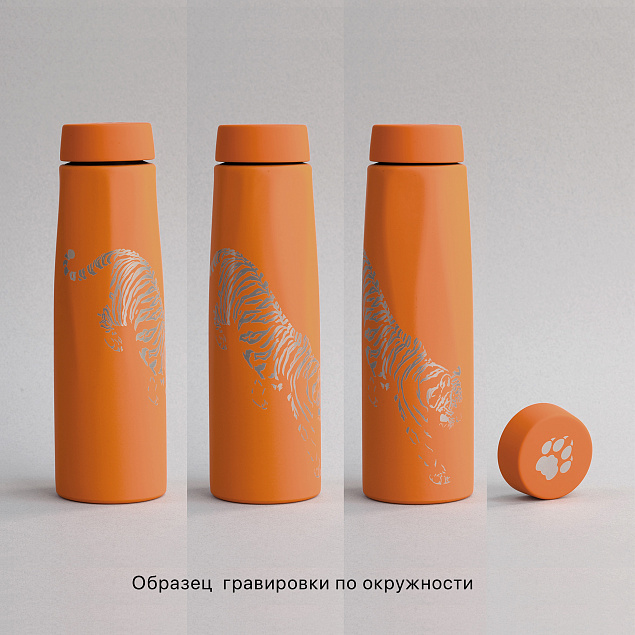 Термос "Calypso" 500 мл, покрытие soft touch, коробка с логотипом в Астрахани заказать по выгодной цене в кибермаркете AvroraStore