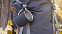 Кружка с карабином "Юта" 300 мл, покрытие soft touch с логотипом в Астрахани заказать по выгодной цене в кибермаркете AvroraStore