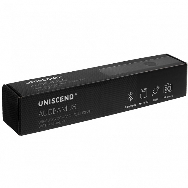 Беспроводная стереоколонка с FM-радио Uniscend Audeamus, черная с логотипом в Астрахани заказать по выгодной цене в кибермаркете AvroraStore