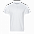 Рубашка поло Рубашка мужская 04 Зелёный с логотипом в Астрахани заказать по выгодной цене в кибермаркете AvroraStore