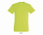 Фуфайка (футболка) REGENT мужская,Зеленое яблоко XXS с логотипом в Астрахани заказать по выгодной цене в кибермаркете AvroraStore