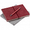 Набор Business Diary, красный с логотипом в Астрахани заказать по выгодной цене в кибермаркете AvroraStore