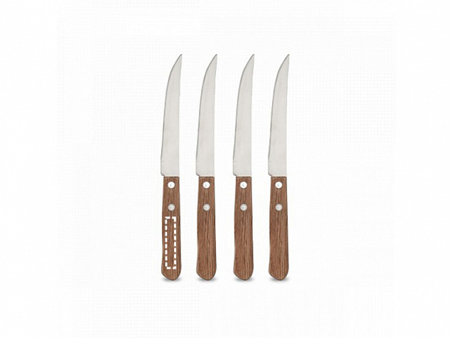 Набор из 4 ножей «CREARY» с логотипом в Астрахани заказать по выгодной цене в кибермаркете AvroraStore