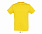 Фуфайка (футболка) REGENT мужская,Оранжевый XXS с логотипом в Астрахани заказать по выгодной цене в кибермаркете AvroraStore