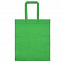 Сумка для покупок Span 70, зеленая с логотипом в Астрахани заказать по выгодной цене в кибермаркете AvroraStore