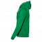 Толстовка мужская 17 Зелёный с логотипом в Астрахани заказать по выгодной цене в кибермаркете AvroraStore