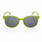 Солнцезащитные очки ECO, зеленый с логотипом в Астрахани заказать по выгодной цене в кибермаркете AvroraStore