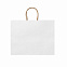 Пакет бумажный MAPLE, Белый с логотипом в Астрахани заказать по выгодной цене в кибермаркете AvroraStore