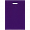 Набор Welcome Pack, фиолетовый с логотипом в Астрахани заказать по выгодной цене в кибермаркете AvroraStore