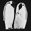 Свитшот детский Like a Penguin, черный с логотипом в Астрахани заказать по выгодной цене в кибермаркете AvroraStore