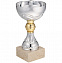 Кубок Grail, серебристый с логотипом в Астрахани заказать по выгодной цене в кибермаркете AvroraStore