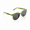Солнцезащитные очки ECO, зеленый с логотипом в Астрахани заказать по выгодной цене в кибермаркете AvroraStore