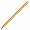 Шариковая ручка Chavez, зеленая с логотипом в Астрахани заказать по выгодной цене в кибермаркете AvroraStore