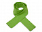 Шарф Dunant, зеленое яблоко с логотипом в Астрахани заказать по выгодной цене в кибермаркете AvroraStore