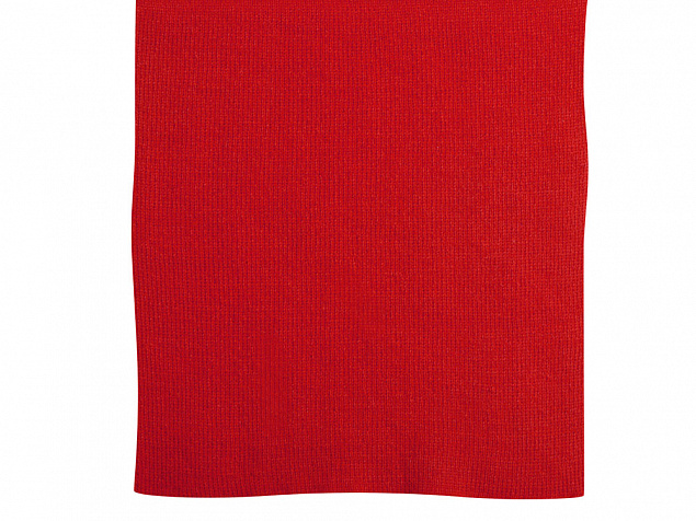 Шарф Dunant, красный с логотипом в Астрахани заказать по выгодной цене в кибермаркете AvroraStore