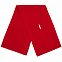 Шарф Yong, красный с логотипом в Астрахани заказать по выгодной цене в кибермаркете AvroraStore