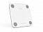 Умные диагностические весы Picooc Mini Pro V2 (6924917717377), белый с логотипом в Астрахани заказать по выгодной цене в кибермаркете AvroraStore