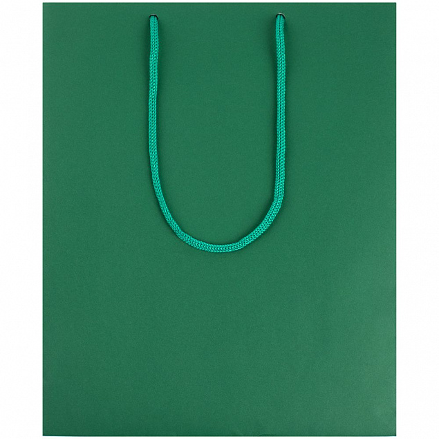 Пакет Wide, зеленый с логотипом в Астрахани заказать по выгодной цене в кибермаркете AvroraStore
