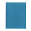 Бизнес-блокнот "Biggy", B5 формат, голубой, серый форзац, мягкая обложка, в клетку с логотипом в Астрахани заказать по выгодной цене в кибермаркете AvroraStore
