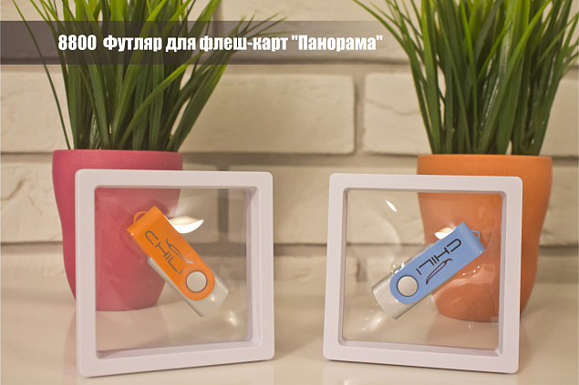 Футляр для флеш-карт "Панорама" с логотипом в Астрахани заказать по выгодной цене в кибермаркете AvroraStore