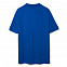 Рубашка поло мужская Adam, ярко-синяя с логотипом в Астрахани заказать по выгодной цене в кибермаркете AvroraStore