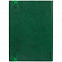 Ежедневник Vivian, недатированный, зеленый с логотипом в Астрахани заказать по выгодной цене в кибермаркете AvroraStore