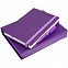 Набор Favor, фиолетовый с логотипом в Астрахани заказать по выгодной цене в кибермаркете AvroraStore