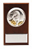 Плакетка малая «Тигр на монетах» с возможностью персонализации с логотипом в Астрахани заказать по выгодной цене в кибермаркете AvroraStore