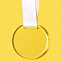 Медаль GLORY в подарочной упаковке, 70х66х5 мм, акрил с логотипом в Астрахани заказать по выгодной цене в кибермаркете AvroraStore