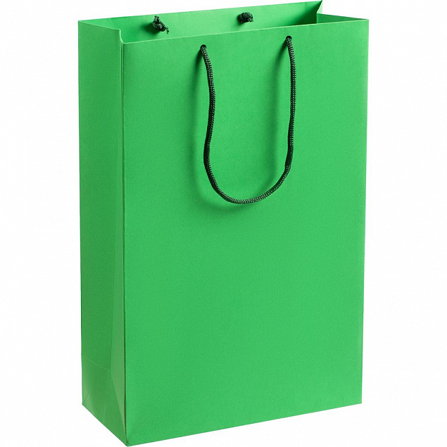Пакет бумажный Porta M, зеленый с логотипом в Астрахани заказать по выгодной цене в кибермаркете AvroraStore