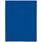 Папка с прижимом Expert, синяя с логотипом в Астрахани заказать по выгодной цене в кибермаркете AvroraStore