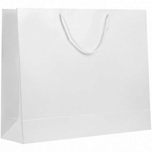 Пакет бумажный «Блеск», большой, белый с логотипом в Астрахани заказать по выгодной цене в кибермаркете AvroraStore