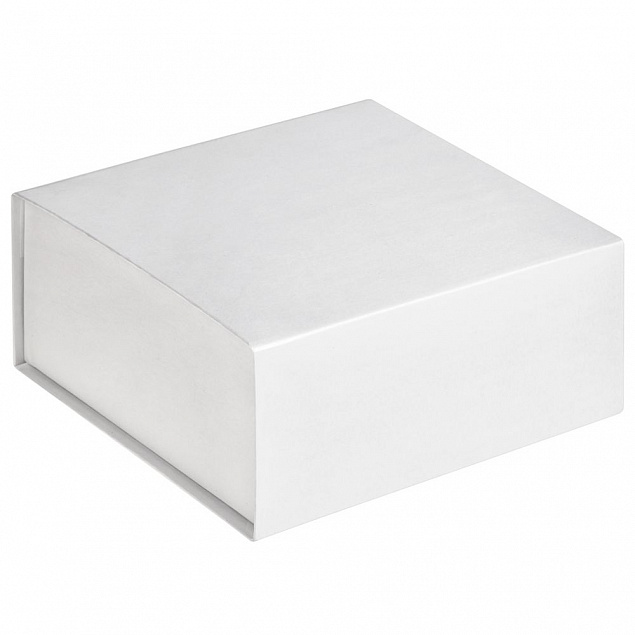 Коробка Amaze, белая с логотипом в Астрахани заказать по выгодной цене в кибермаркете AvroraStore