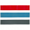 Набор эластичных лент для фитнеса Zen с логотипом в Астрахани заказать по выгодной цене в кибермаркете AvroraStore