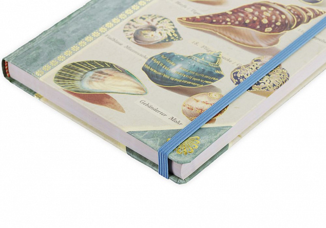 Книга для записей Shells с логотипом в Астрахани заказать по выгодной цене в кибермаркете AvroraStore