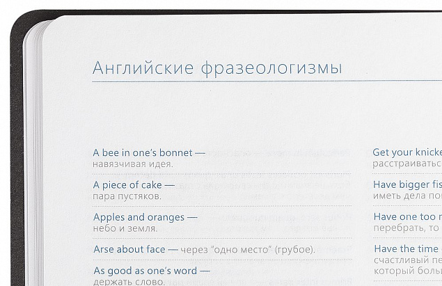 Ежедневник Vivien, недатированный, бирюзовый с логотипом в Астрахани заказать по выгодной цене в кибермаркете AvroraStore