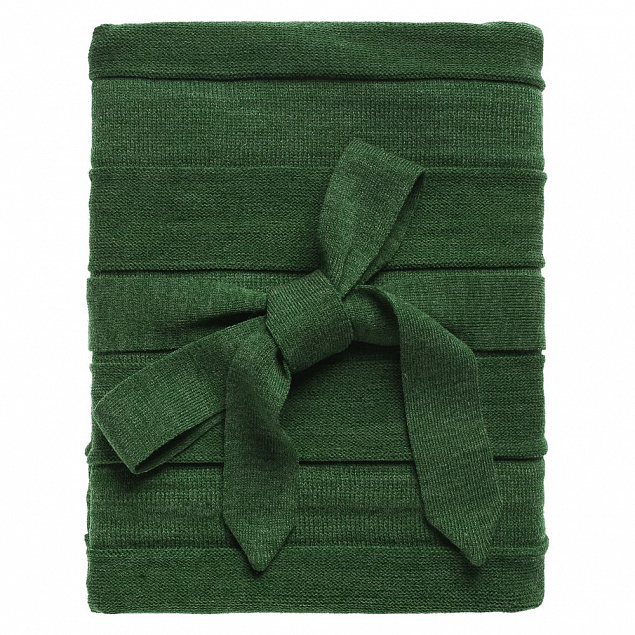 Плед Pleat, зеленый с логотипом в Астрахани заказать по выгодной цене в кибермаркете AvroraStore