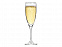Бокал для шампанского «Flute» с логотипом в Астрахани заказать по выгодной цене в кибермаркете AvroraStore