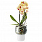 Горшок для орхидеи с функцией самополива Orchid Pot, большой, белый с логотипом в Астрахани заказать по выгодной цене в кибермаркете AvroraStore