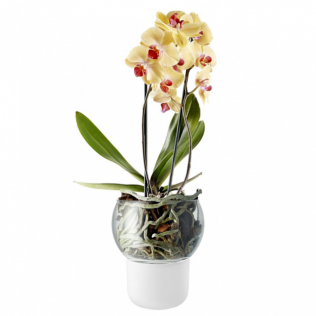 Горшок для орхидеи с функцией самополива Orchid Pot, большой, белый с логотипом в Астрахани заказать по выгодной цене в кибермаркете AvroraStore