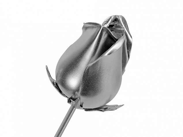 Роза с серебряным бутоном с логотипом в Астрахани заказать по выгодной цене в кибермаркете AvroraStore