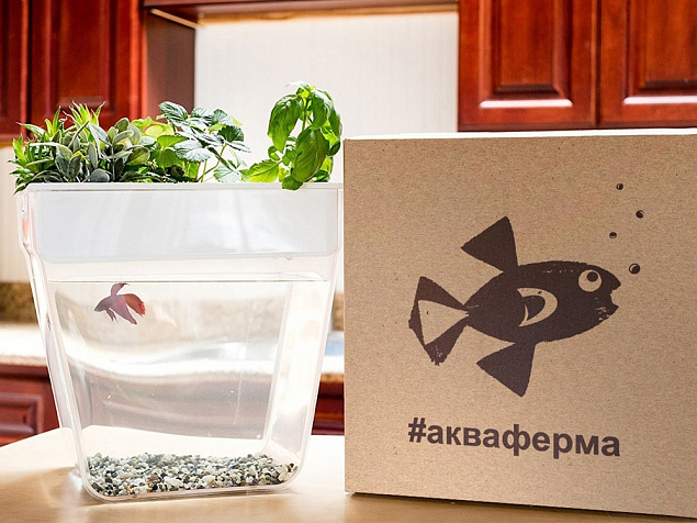 Набор для выращивания растений и ухода за рыбкой Акваферма с логотипом в Астрахани заказать по выгодной цене в кибермаркете AvroraStore
