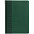 Ежедневник BRAND, недатированный, зеленый с логотипом в Астрахани заказать по выгодной цене в кибермаркете AvroraStore