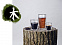 Набор стаканов Elements Wood с логотипом в Астрахани заказать по выгодной цене в кибермаркете AvroraStore