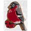 Печенье Fire Bird с логотипом в Астрахани заказать по выгодной цене в кибермаркете AvroraStore