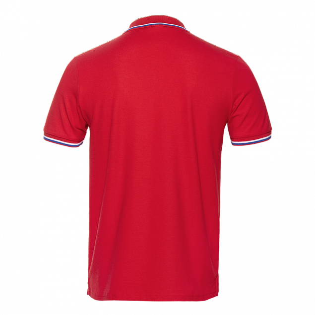 Рубашка поло Рубашка мужская 04RUS Красный с логотипом в Астрахани заказать по выгодной цене в кибермаркете AvroraStore