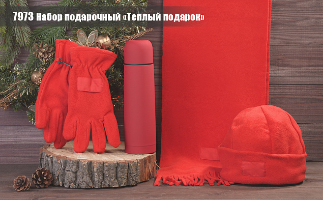 Набор подарочный "Теплый подарок" с логотипом в Астрахани заказать по выгодной цене в кибермаркете AvroraStore