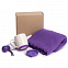 Набор подарочный SPRING WIND: плед, складной зонт, кружка с крышкой, коробка, фиолетовый с логотипом в Астрахани заказать по выгодной цене в кибермаркете AvroraStore