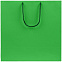 Пакет бумажный Porta, большой, зеленый с логотипом в Астрахани заказать по выгодной цене в кибермаркете AvroraStore