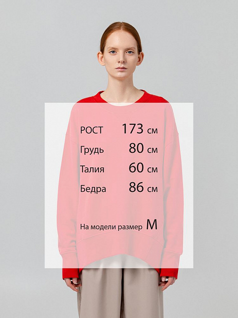 Свитшот Kosmos, красный с логотипом в Астрахани заказать по выгодной цене в кибермаркете AvroraStore